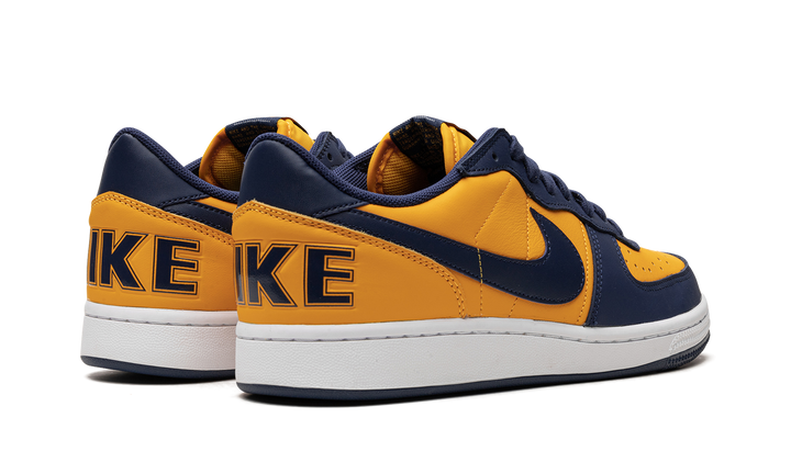 NIKE TERMINATOR LOW MICHIGAN — Stock 