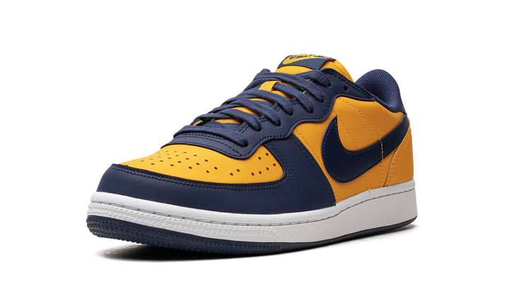NIKE TERMINATOR LOW MICHIGAN — Stock 