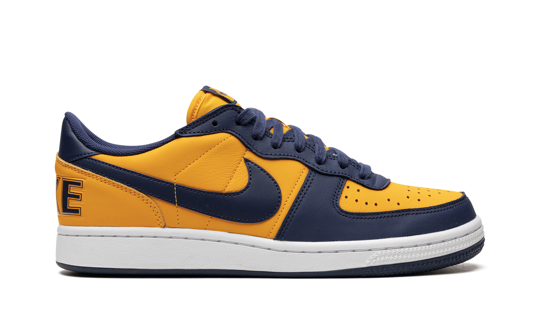 NIKE TERMINATOR LOW MICHIGAN — Stock 