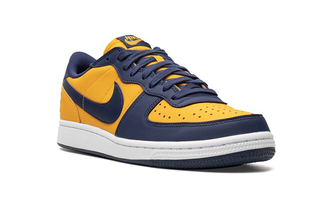 NIKE TERMINATOR LOW MICHIGAN — Stock 