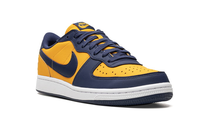NIKE TERMINATOR LOW MICHIGAN — Stock 