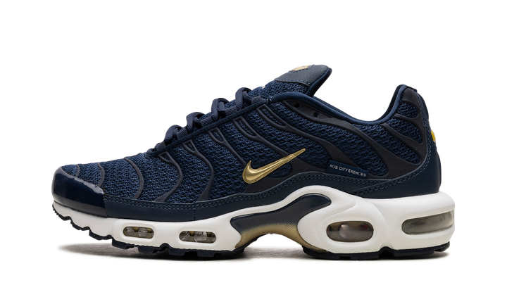 NIKE TN AIR MAX PLUS FFF FRENCH FOOTBALL FEDERATION