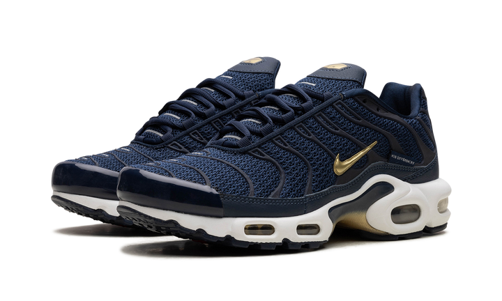NIKE TN AIR MAX PLUS FFF FRENCH FOOTBALL FEDERATION