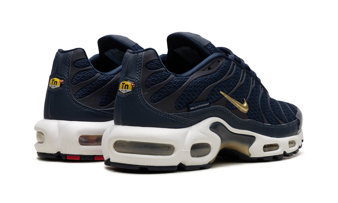 NIKE TN AIR MAX PLUS FFF FRENCH FOOTBALL FEDERATION