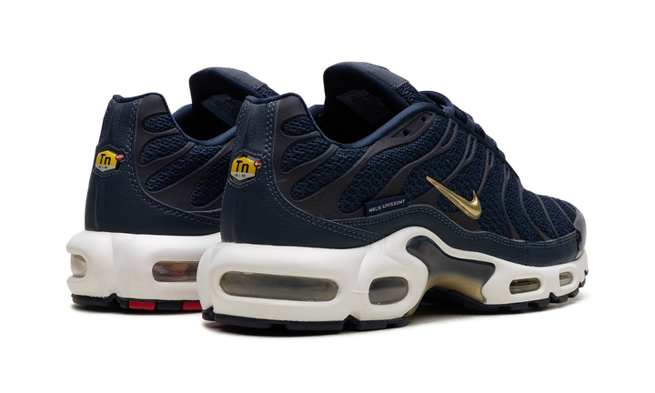 NIKE TN AIR MAX PLUS FFF FRENCH FOOTBALL FEDERATION