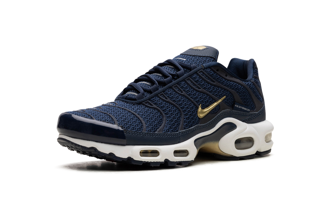 NIKE TN AIR MAX PLUS FFF FRENCH FOOTBALL FEDERATION