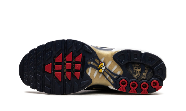 NIKE TN AIR MAX PLUS FFF FRENCH FOOTBALL FEDERATION