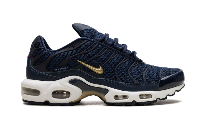 NIKE TN AIR MAX PLUS FFF FRENCH FOOTBALL FEDERATION
