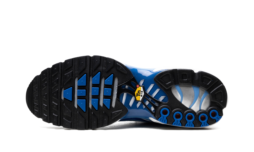 NIKE TN AIR MAX PLUS LIGHT PHOTOGRAPHY BLUE