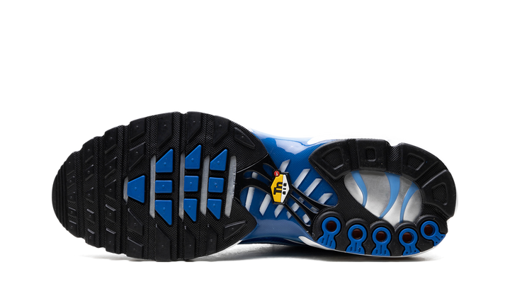 NIKE TN AIR MAX PLUS LIGHT PHOTOGRAPHY BLUE