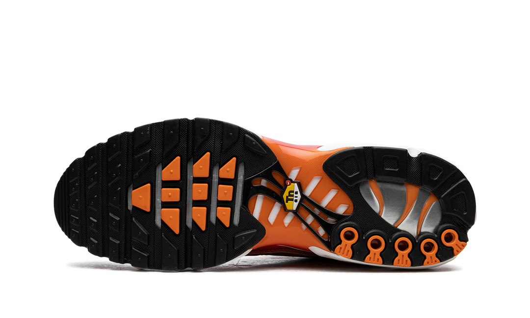 NIKE TN AIR MAX PLUS LIGHT PHOTOGRAPHY