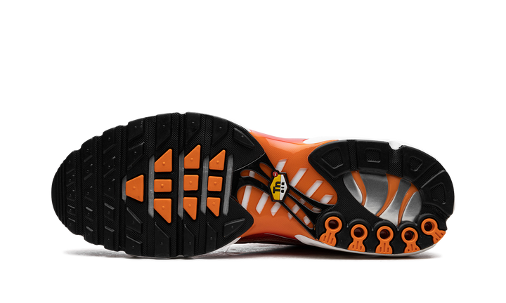 NIKE TN AIR MAX PLUS LIGHT PHOTOGRAPHY