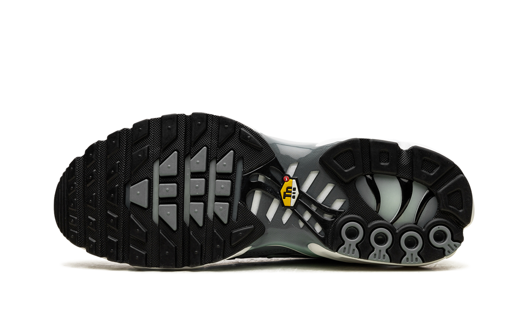 NIKE TN AIR MAX PLUS WATERWAY