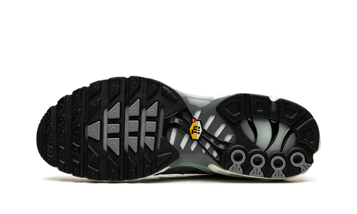 NIKE TN AIR MAX PLUS WATERWAY