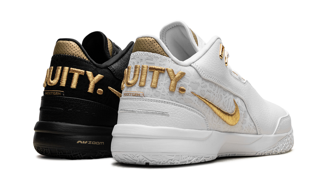 NIKE ZOOM LEBRON NXXT GEN AMPD EQUITY
