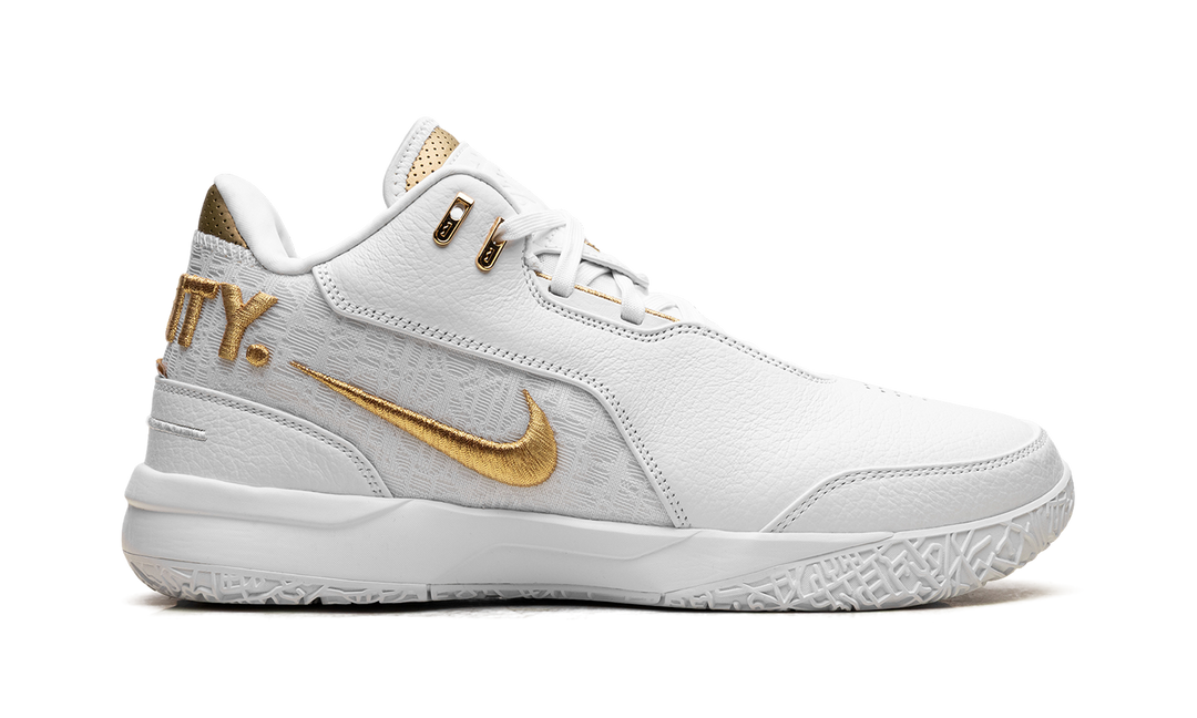 NIKE ZOOM LEBRON NXXT GEN AMPD EQUITY