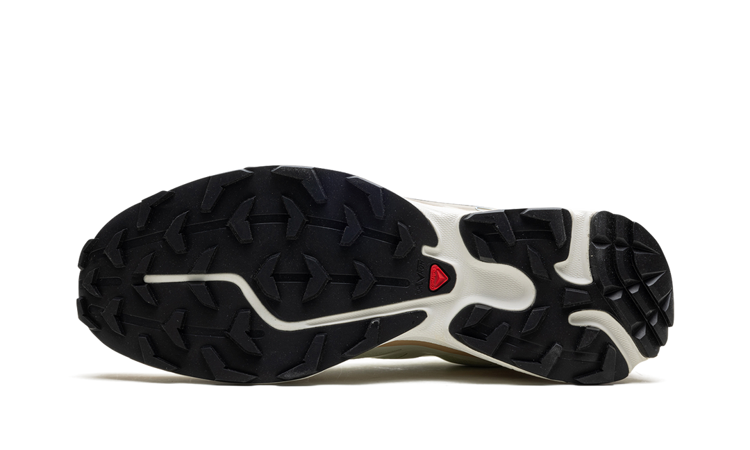 SALOMON XT-6 ALOE WASH FEATHER GREY