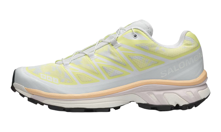 SALOMON XT-6 ALPEN BLOSSOM ICE FLOW