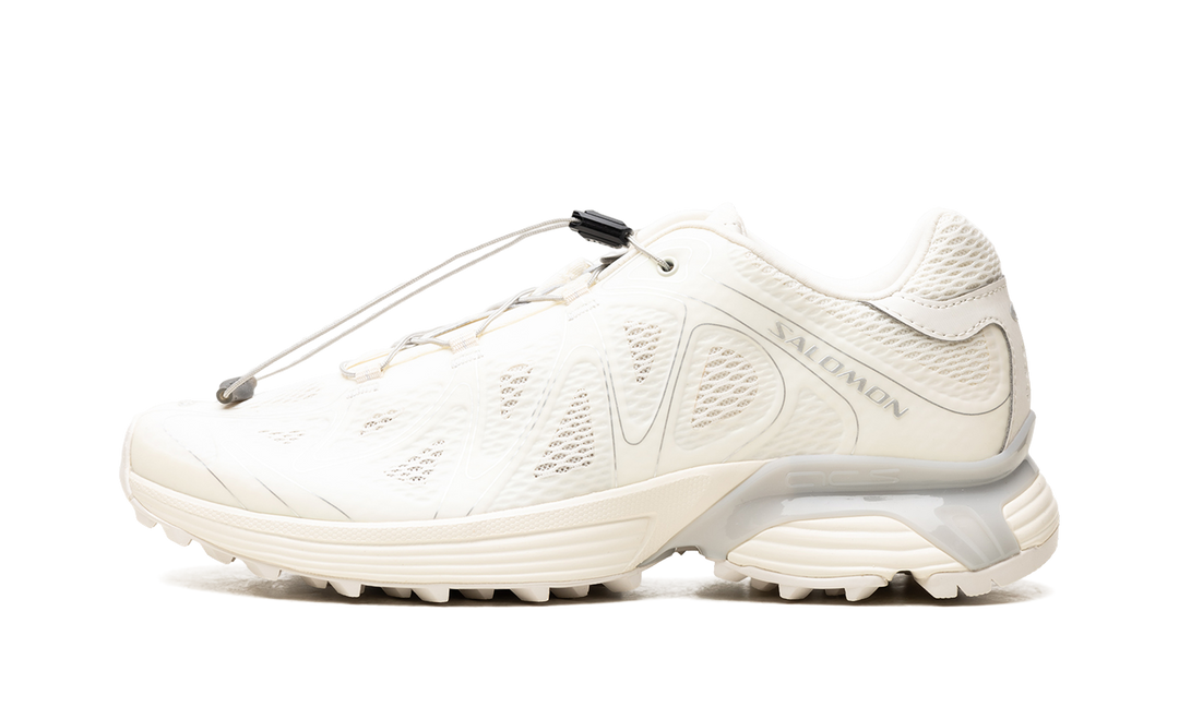 SALOMON XT-WHISPER VOID VANILLA ICE SILVER
