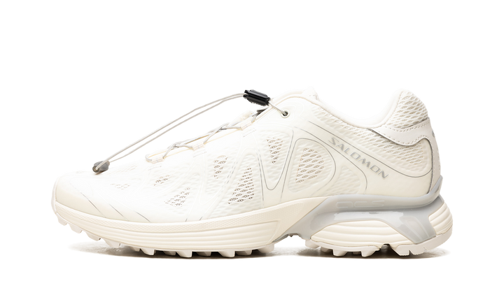 SALOMON XT-WHISPER VOID VANILLA ICE SILVER