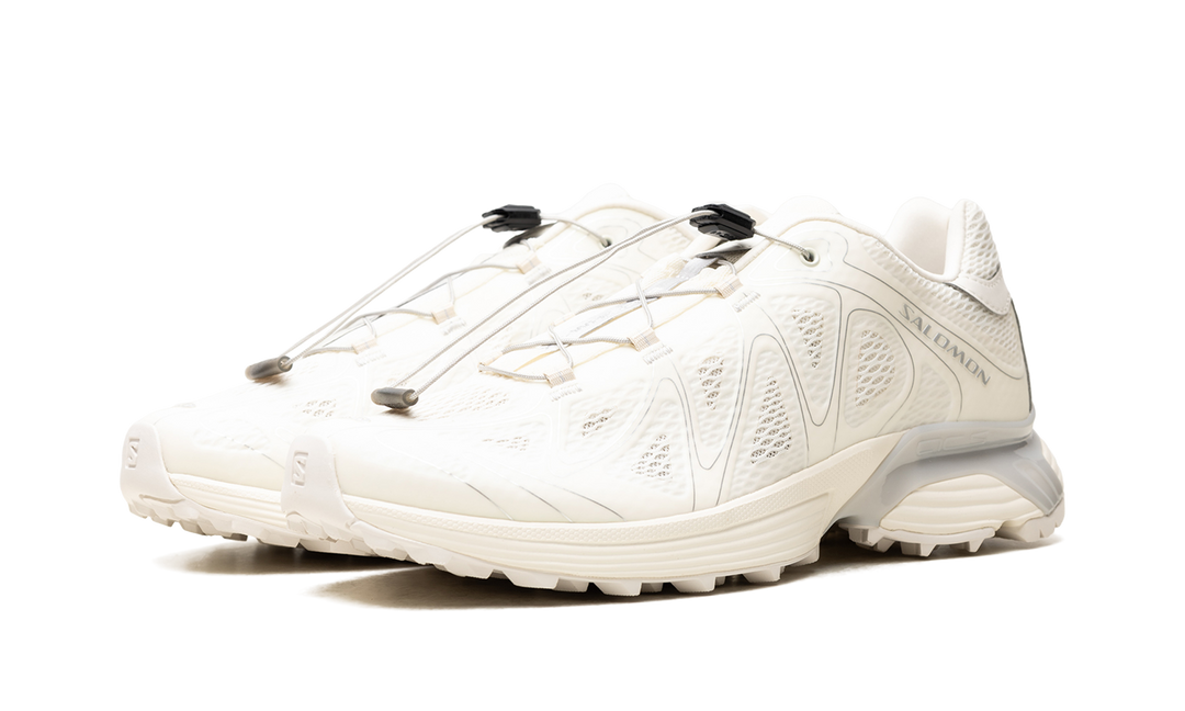 SALOMON XT-WHISPER VOID VANILLA ICE SILVER