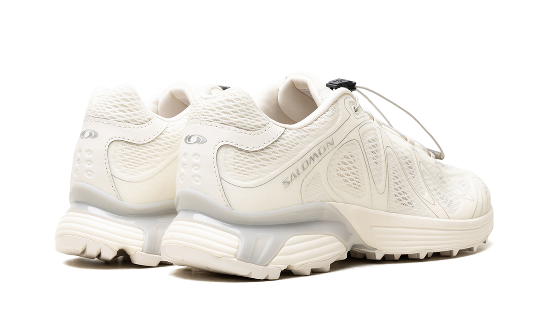 SALOMON XT-WHISPER VOID VANILLA ICE SILVER