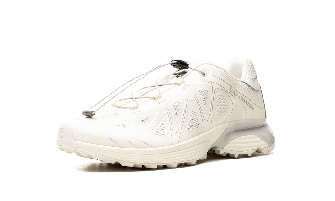 SALOMON XT-WHISPER VOID VANILLA ICE SILVER