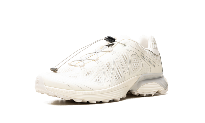 SALOMON XT-WHISPER VOID VANILLA ICE SILVER