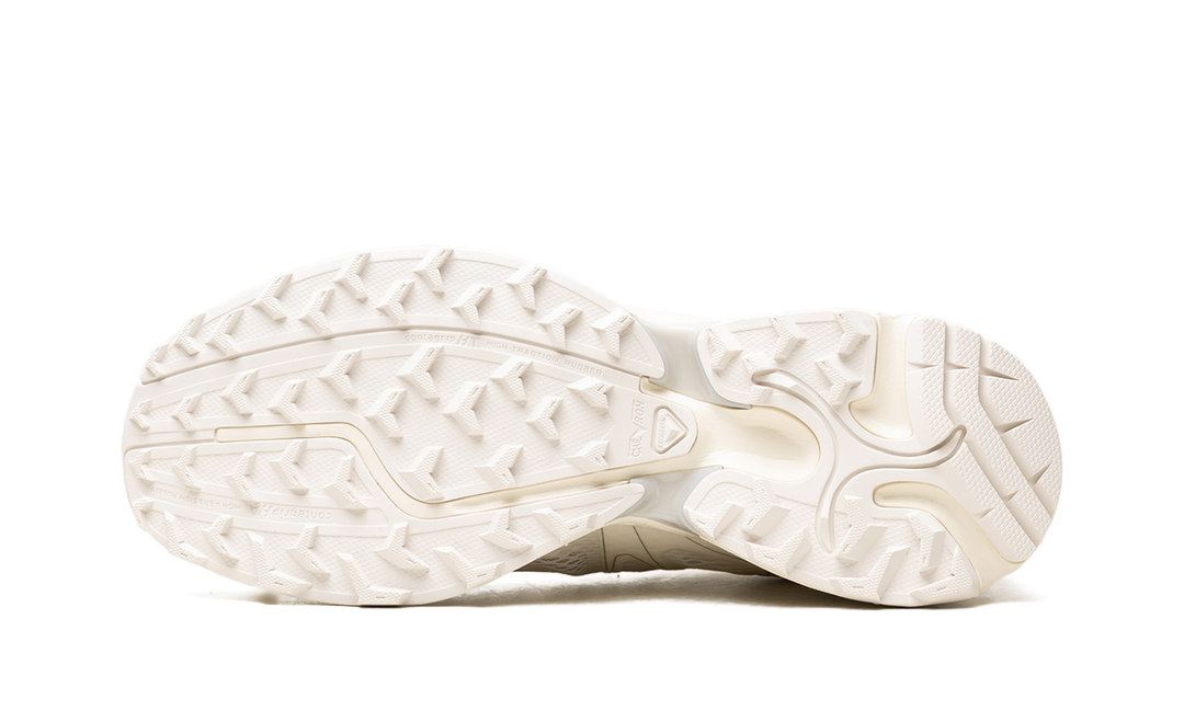 SALOMON XT-WHISPER VOID VANILLA ICE SILVER