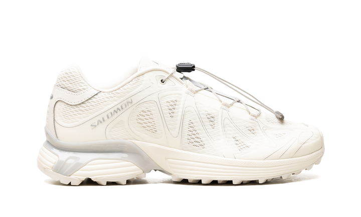 SALOMON XT-WHISPER VOID VANILLA ICE SILVER