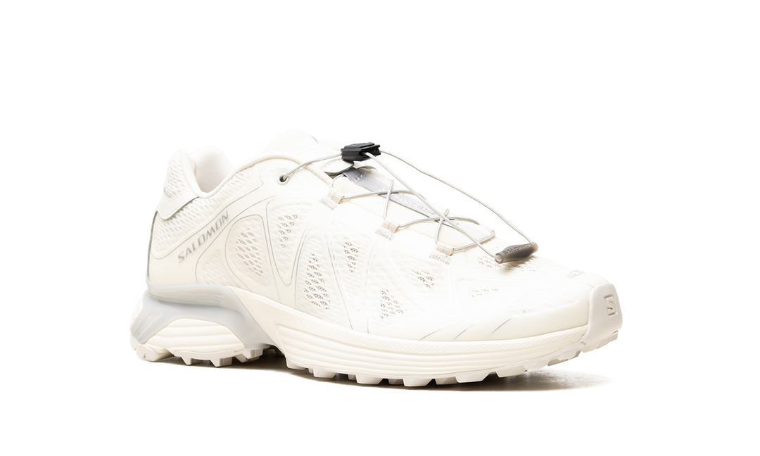 SALOMON XT-WHISPER VOID VANILLA ICE SILVER