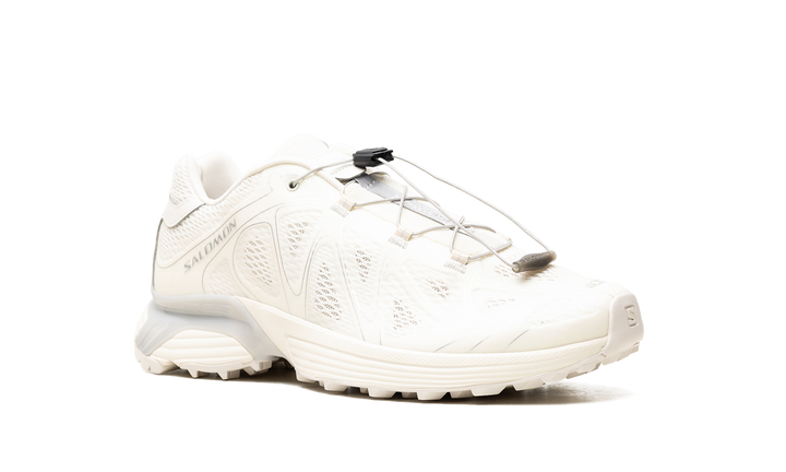 SALOMON XT-WHISPER VOID VANILLA ICE SILVER