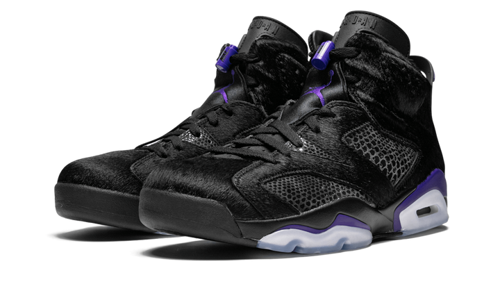SOCIAL STATUS X AIR JORDAN 6 RETRO PONY HAIR