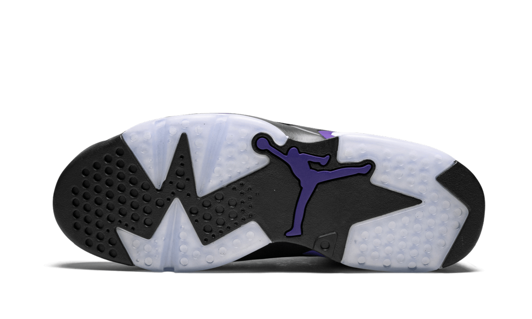 SOCIAL STATUS X AIR JORDAN 6 RETRO PONY HAIR