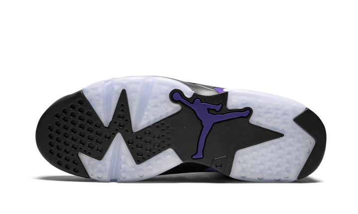 SOCIAL STATUS X AIR JORDAN 6 RETRO PONY HAIR