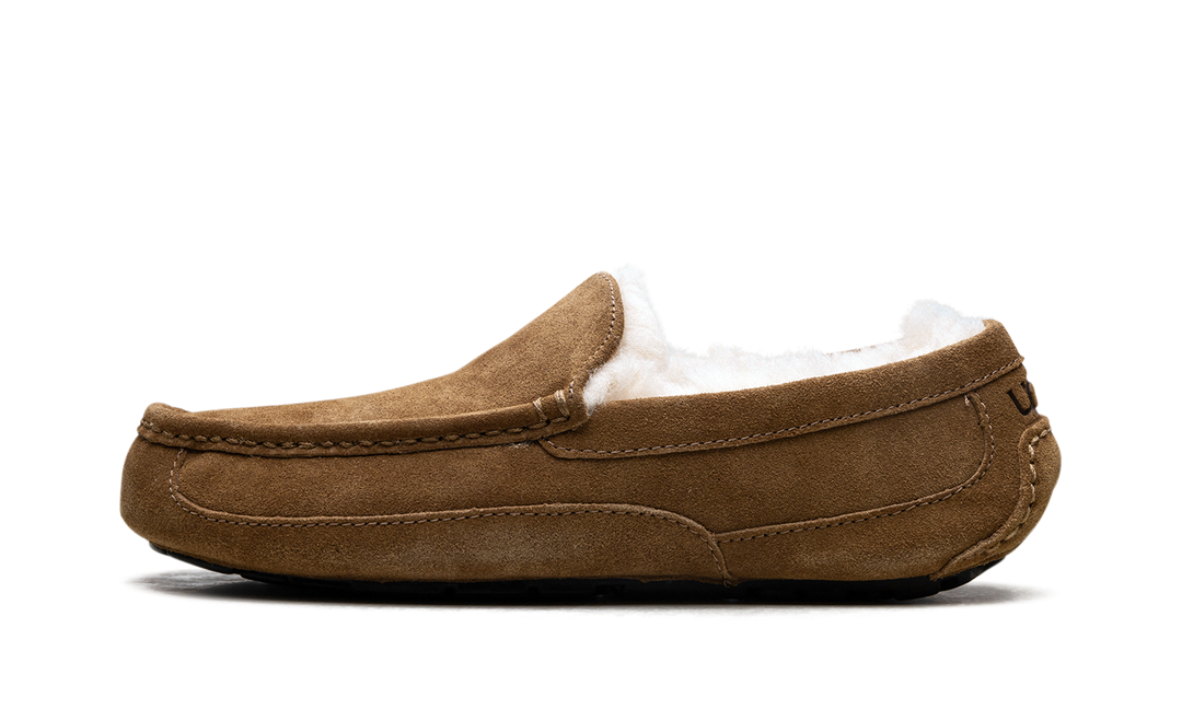 UGG ASCOT SLIPPER CHESTNUT