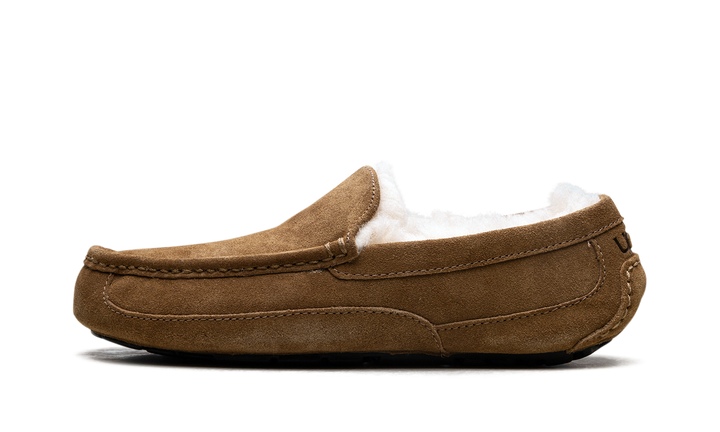 UGG ASCOT SLIPPER CHESTNUT