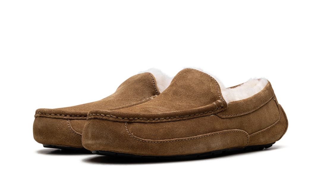 UGG ASCOT SLIPPER CHESTNUT
