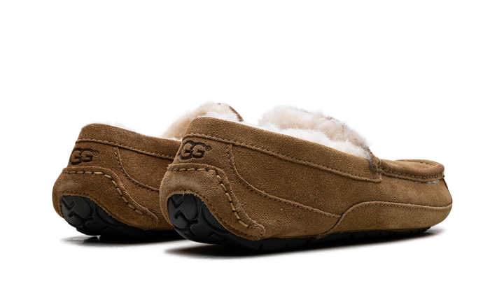 UGG ASCOT SLIPPER CHESTNUT