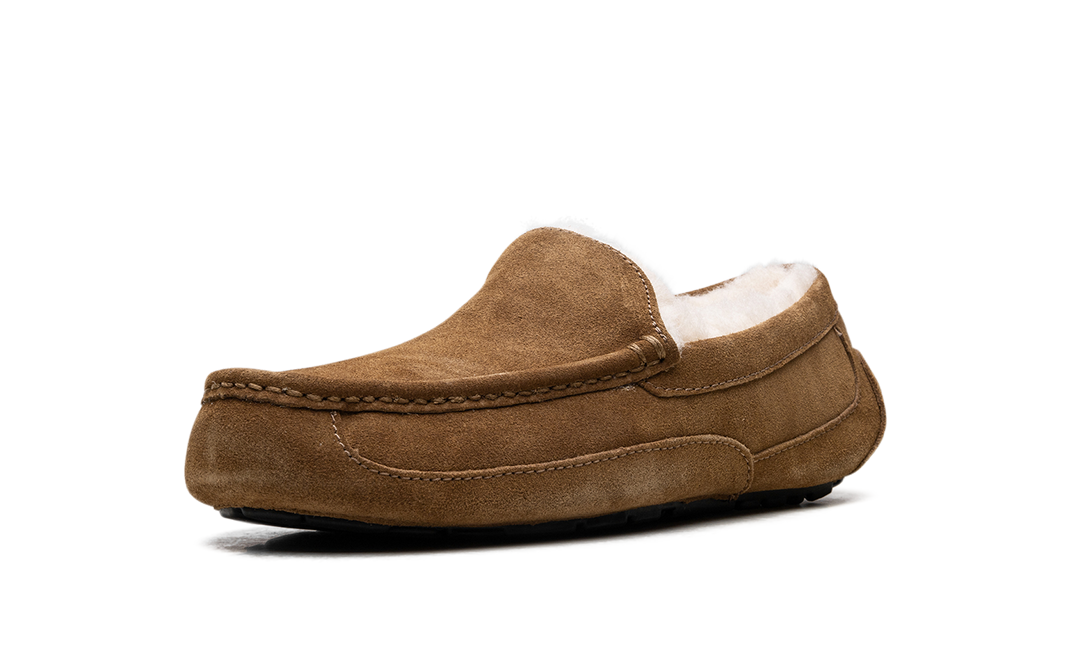 UGG ASCOT SLIPPER CHESTNUT