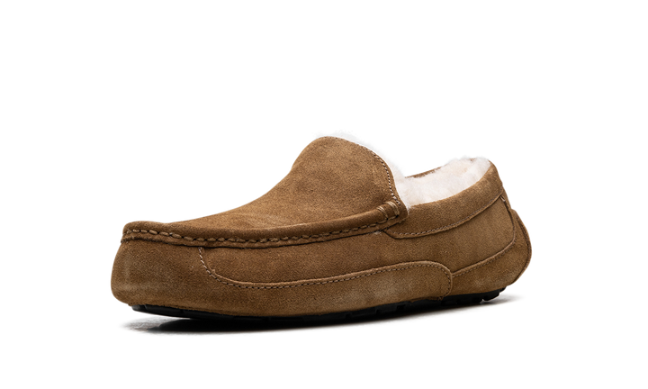 UGG ASCOT SLIPPER CHESTNUT