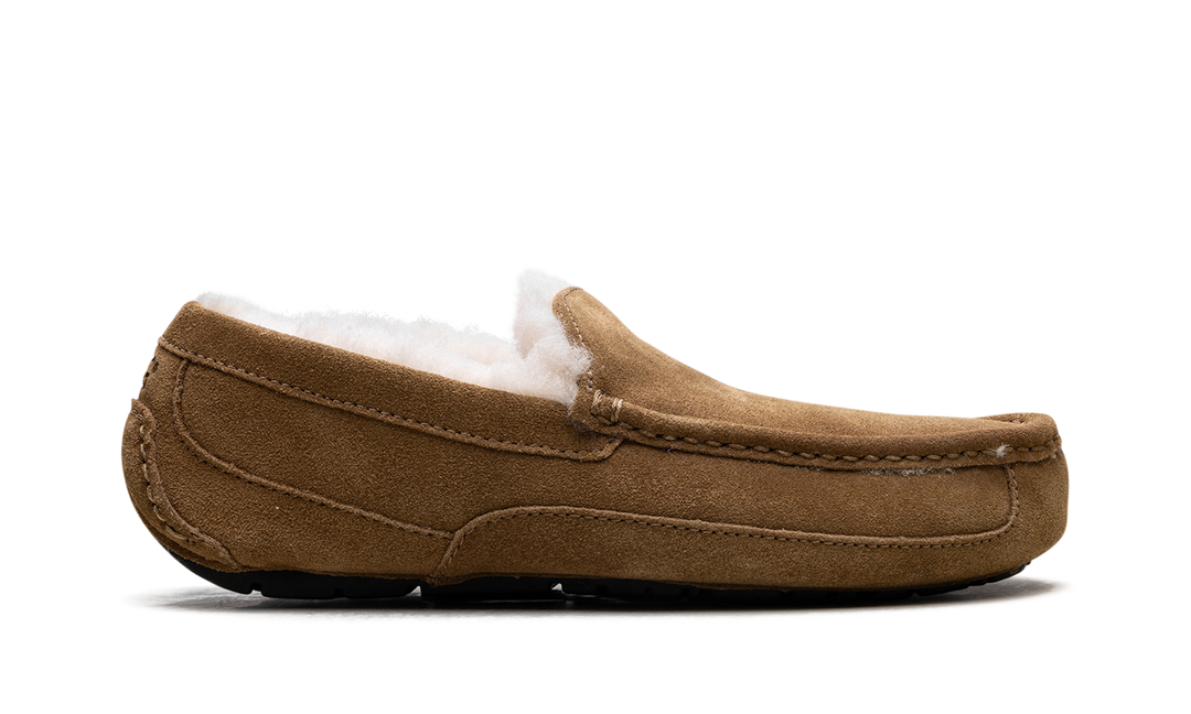 UGG ASCOT SLIPPER CHESTNUT