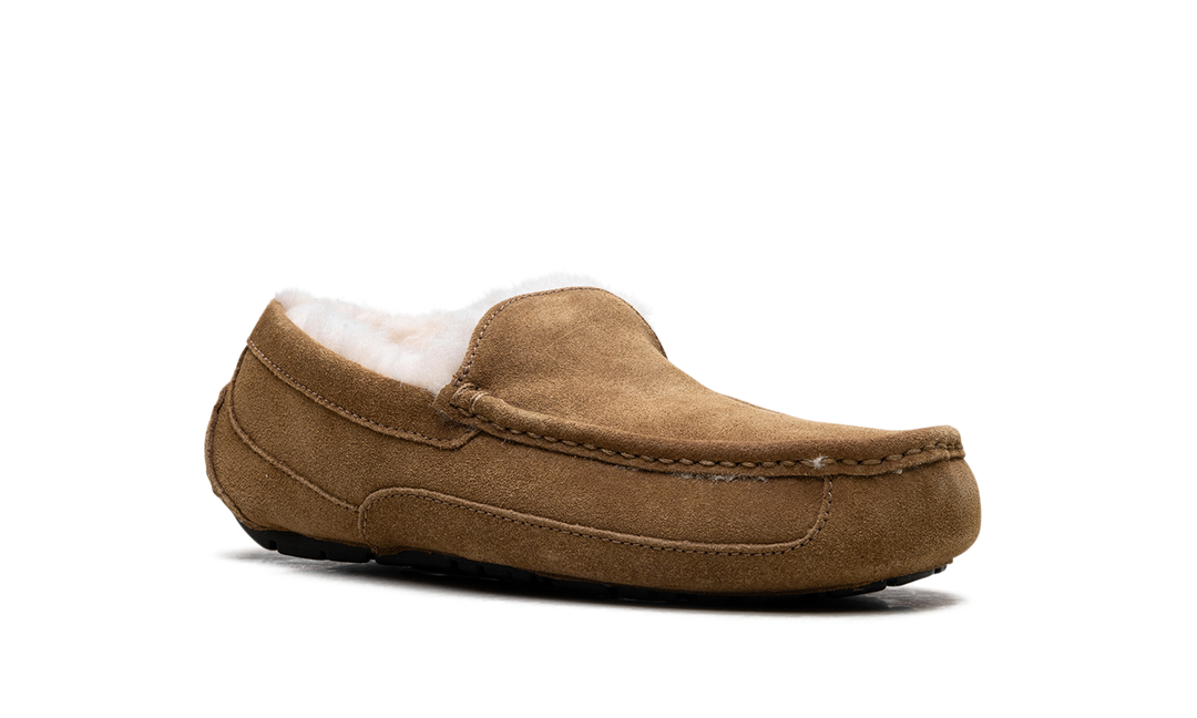 UGG ASCOT SLIPPER CHESTNUT