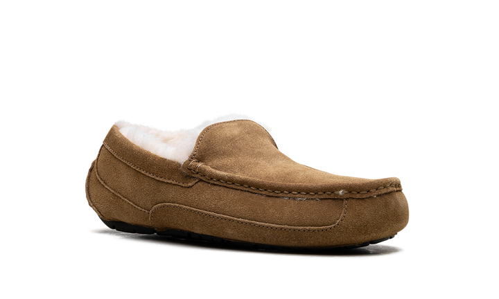 UGG ASCOT SLIPPER CHESTNUT