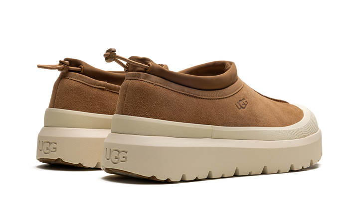 UGG TASMAN WEATHER HYBRID SLIPPER CHESTNUT WHITECAP