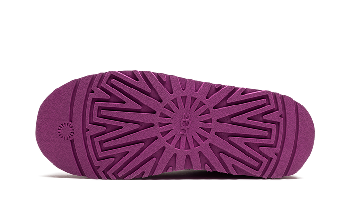UGG TAZZ SLIPPER MANGOSTEEN WOMENS